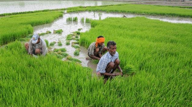 Healthcare & Agriculture