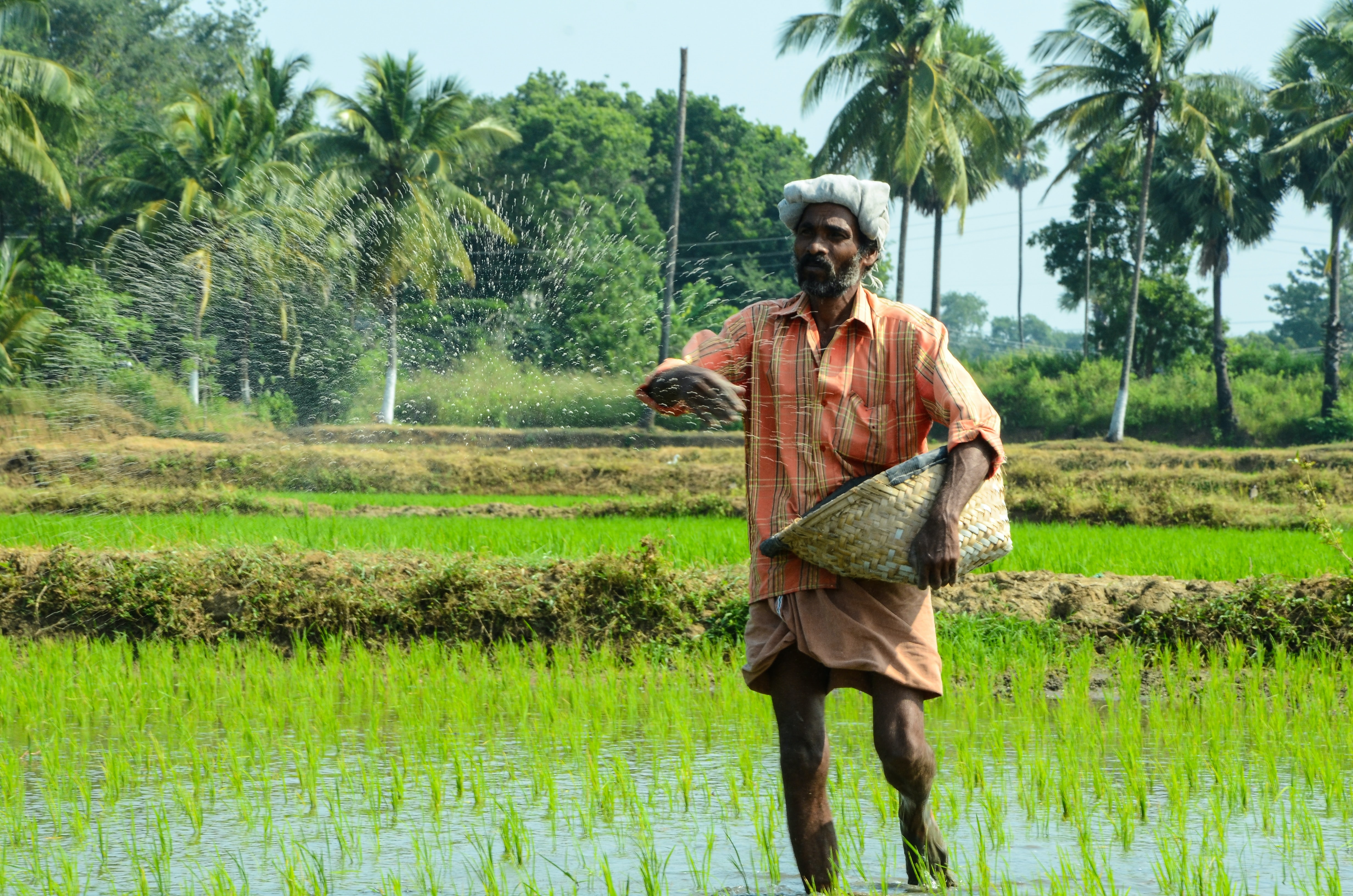 Healthcare & Agriculture
