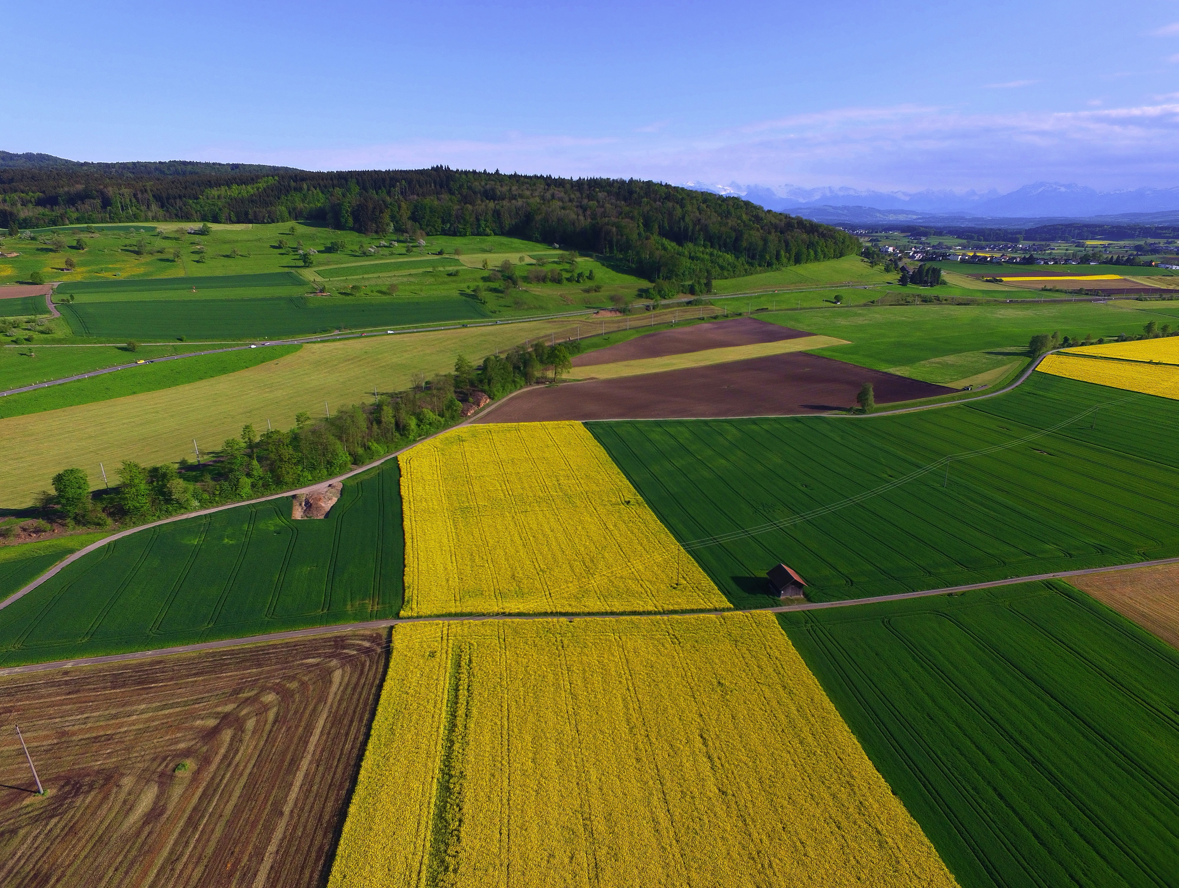 Healthcare & Agriculture