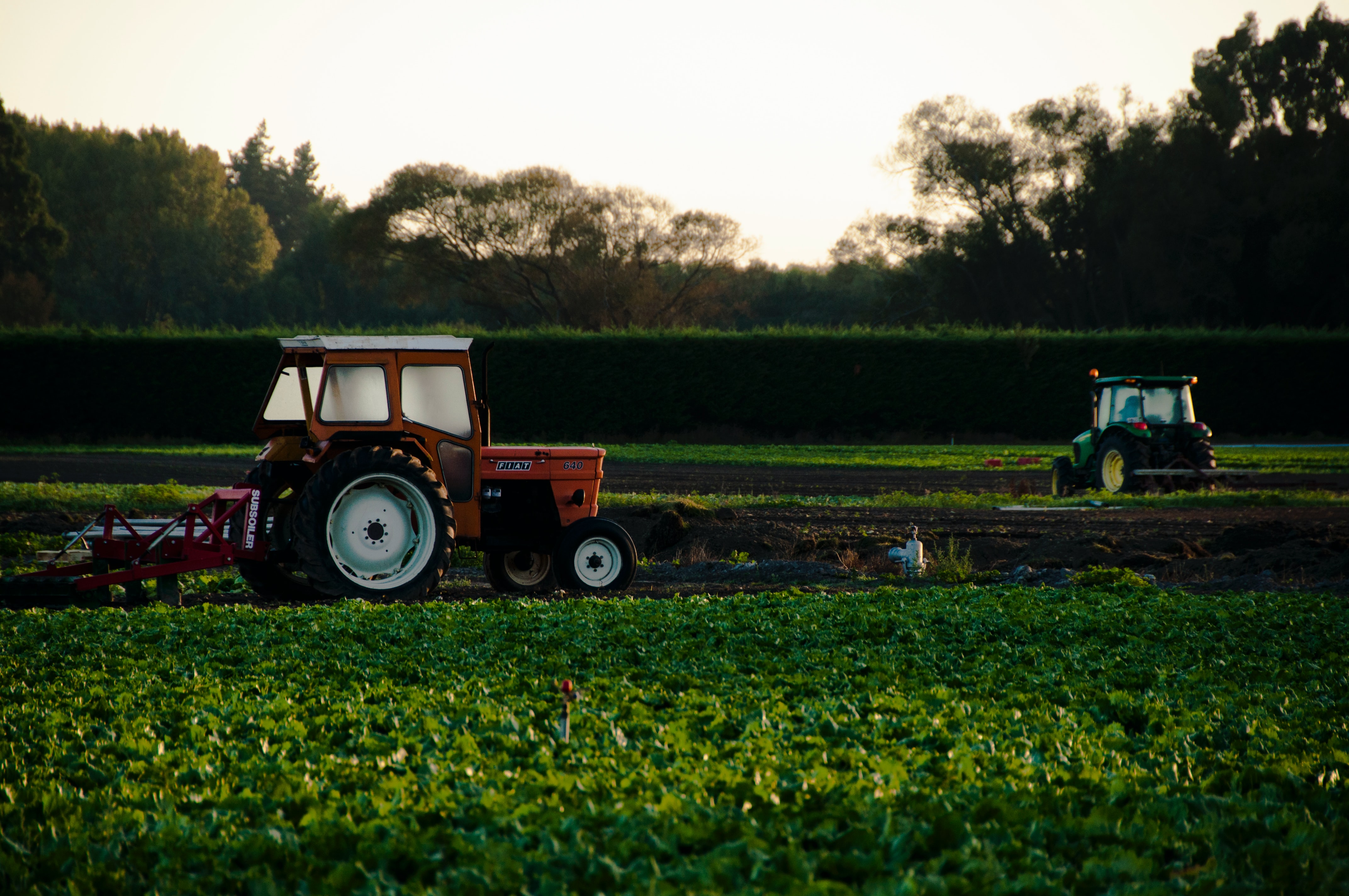Healthcare & Agriculture