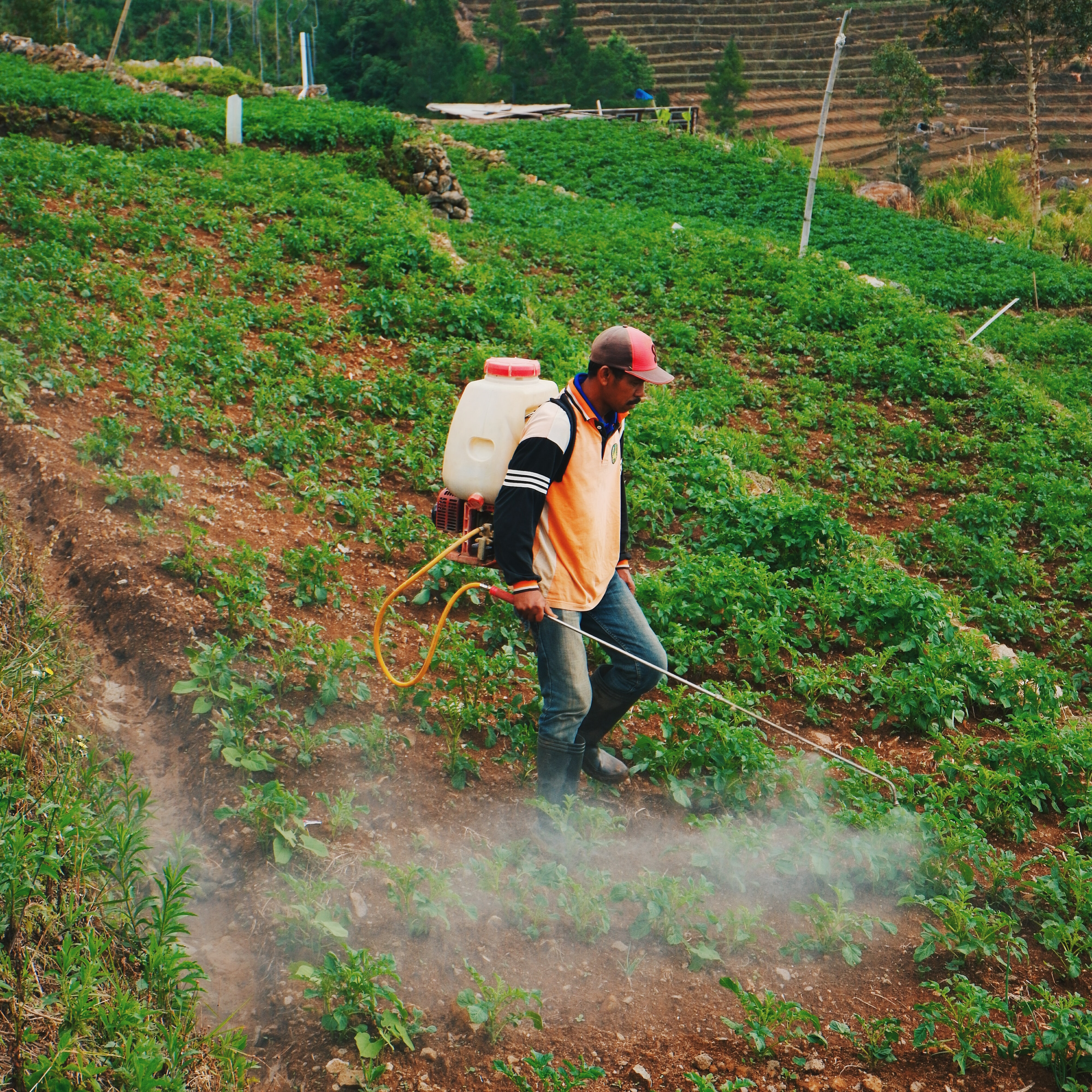 Healthcare & Agriculture